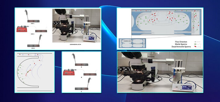 ساخت ریزتراشه‌ جداسازی اسپرم برای کمک به درمان ناباروری