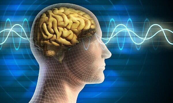 ارتقای دانش در حوزه سازوکارهای مغزی کنترل توجه در بینایی